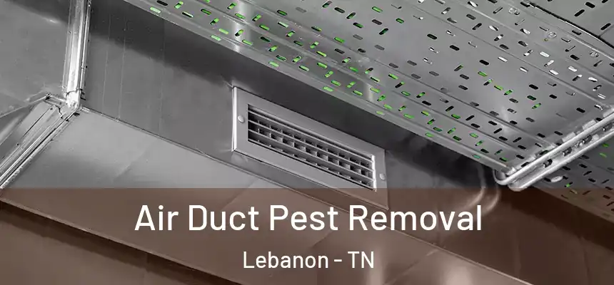 Air Duct Pest Removal Lebanon - TN
