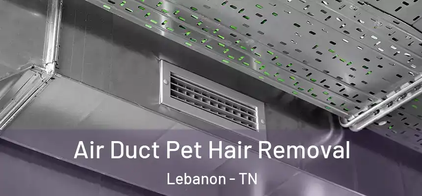  Air Duct Pet Hair Removal Lebanon - TN