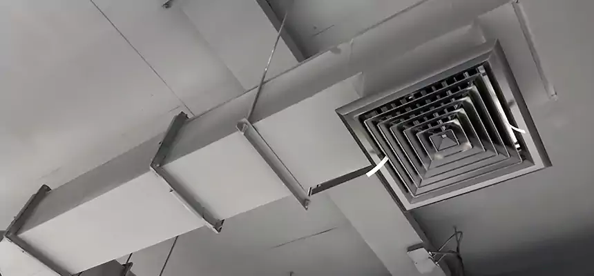 Our Rodent Droppings In Vents Services in Lebanon, TN