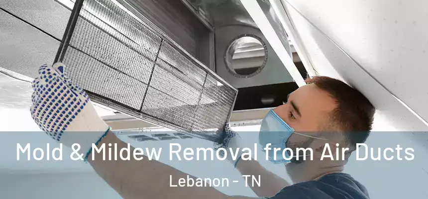  Mold & Mildew Removal from Air Ducts Lebanon - TN