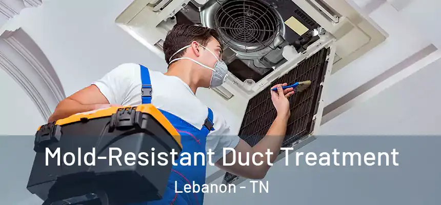 Mold-Resistant Duct Treatment Lebanon - TN
