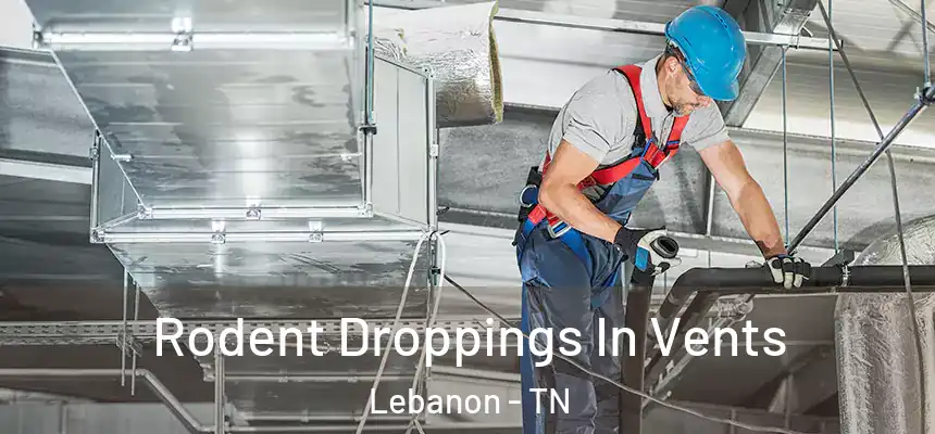  Rodent Droppings In Vents Lebanon - TN