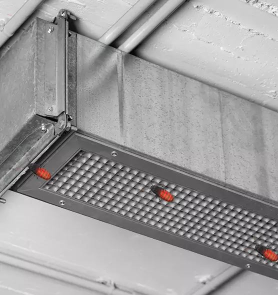 Affordable Insect Removal from Air Ducts in Lebanon, TN