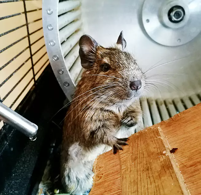 Why Homeowners & Businesses Trust Us Lebanon, TN